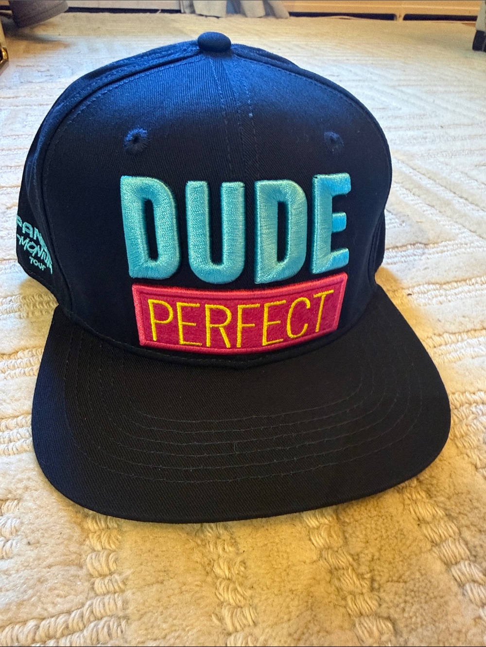 Panda Monium Tour Embroidered Baseball Cap - Black with Teal Logo